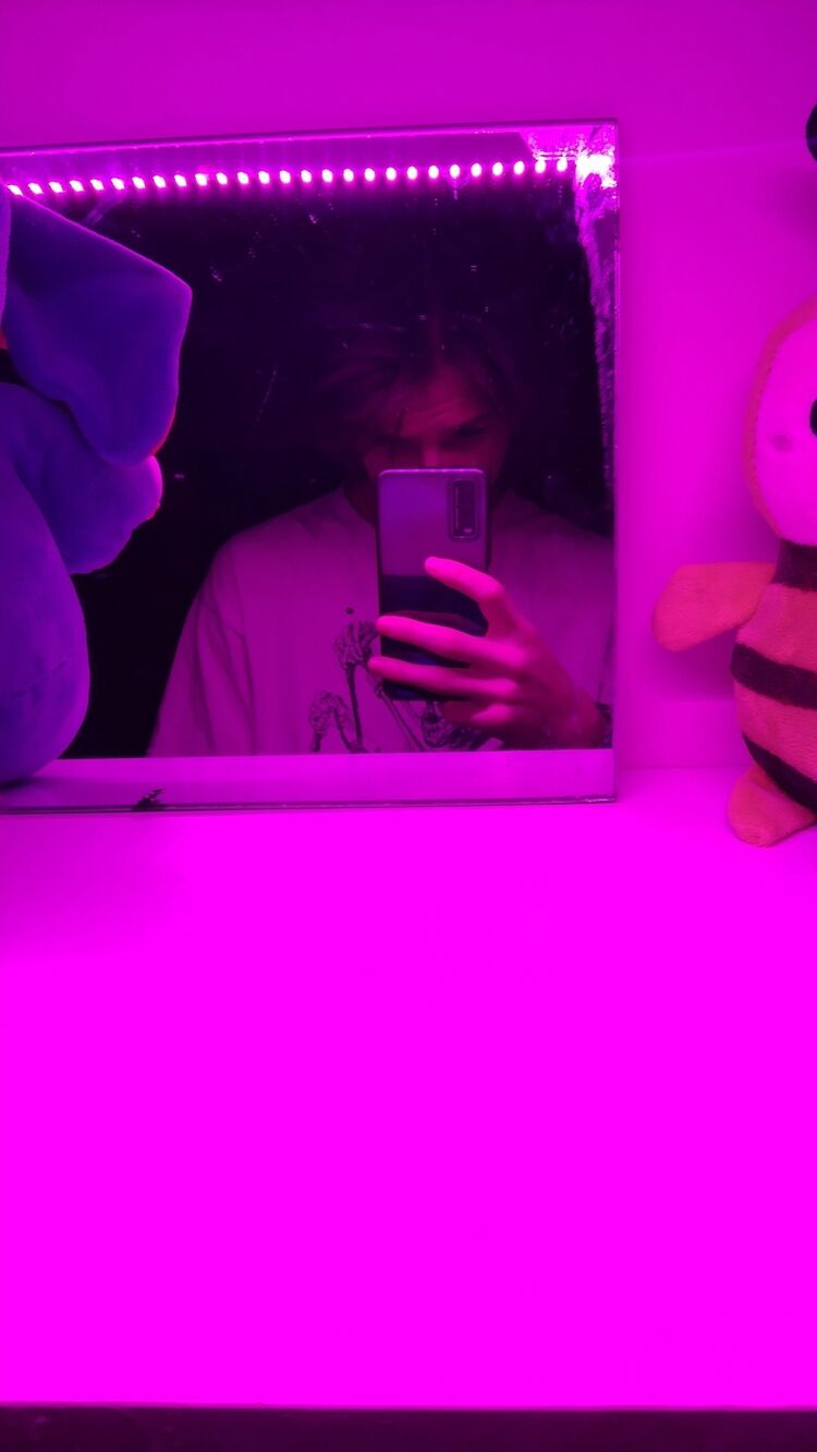  31323981  , 21 ,    