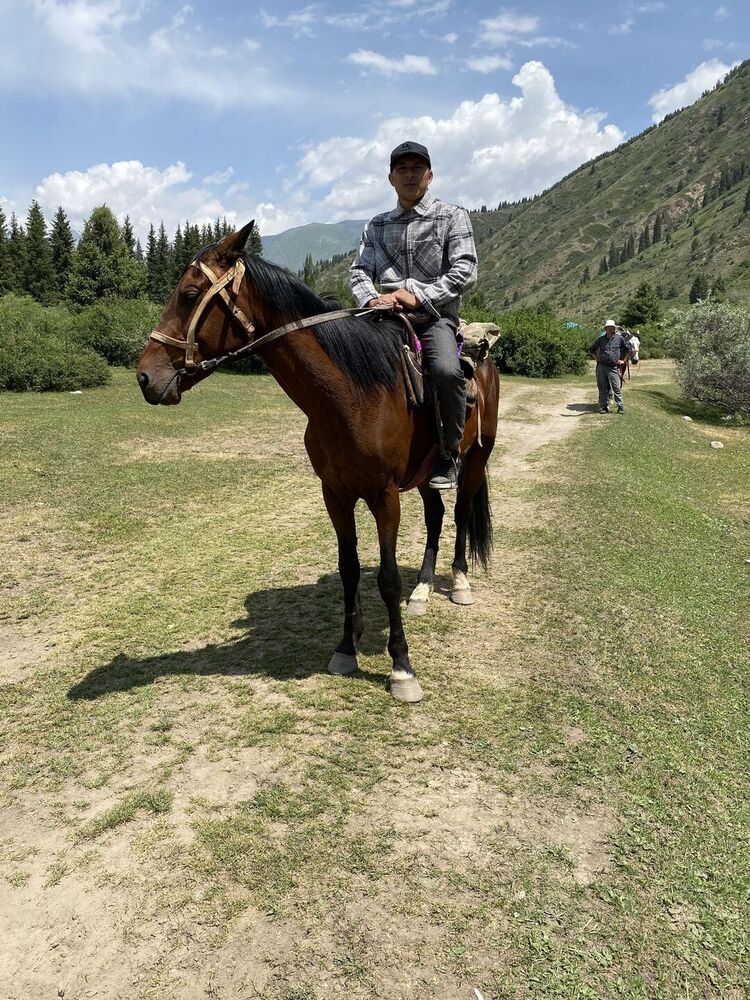 ���� 42775671 ������� ����, 27 ���, ���� ���������� � ������