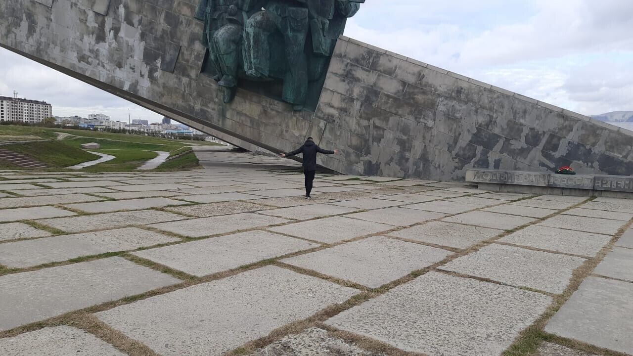  31714601  , 43 ,    -