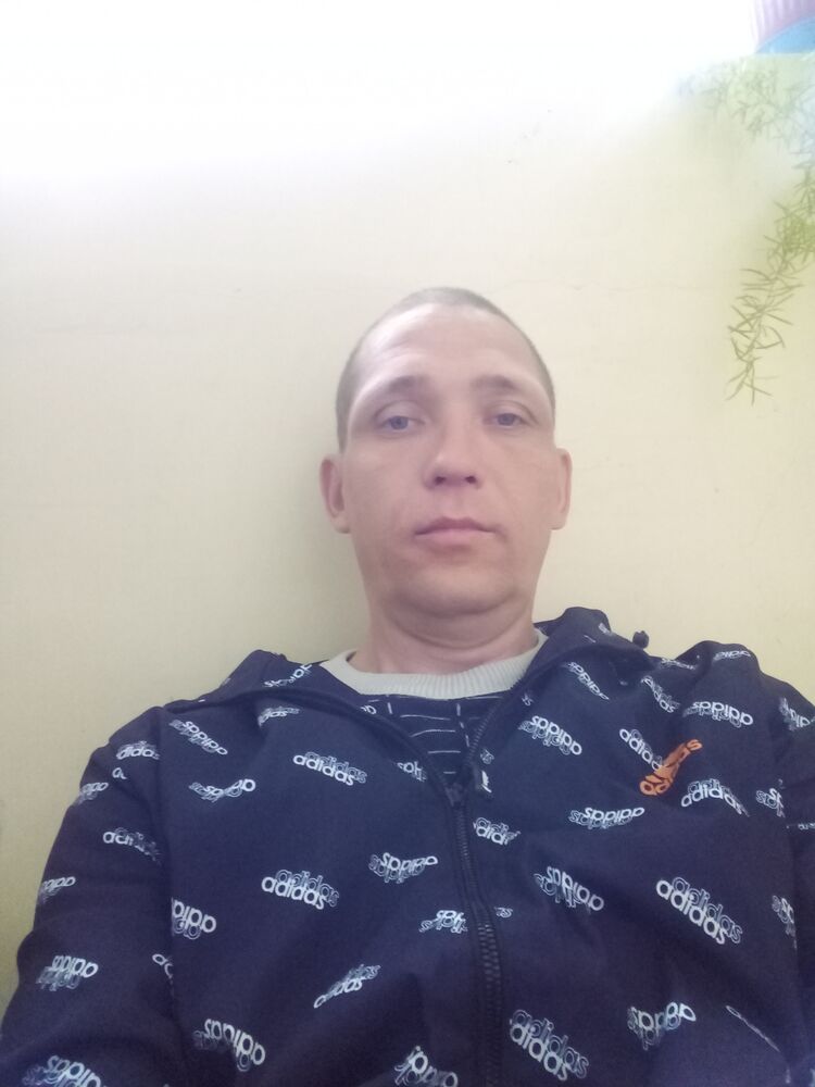  43380621  , 41 ,    