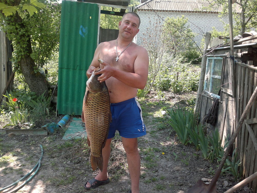 ���������� ������������, ���� ������� �������, 44 ����, ������������ ��� ���������