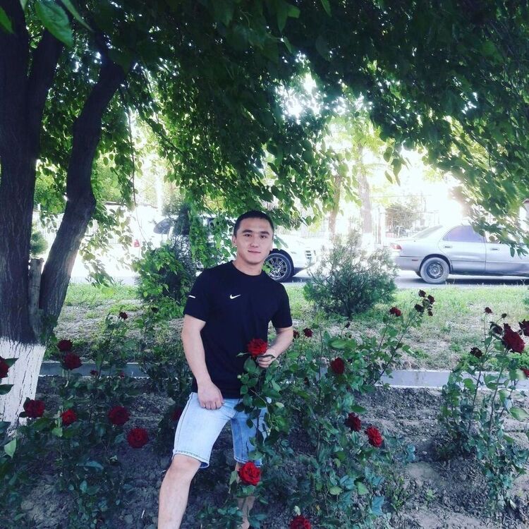 ���� 23037761 ������� �����, 33 ����, ���� ���������� � �������