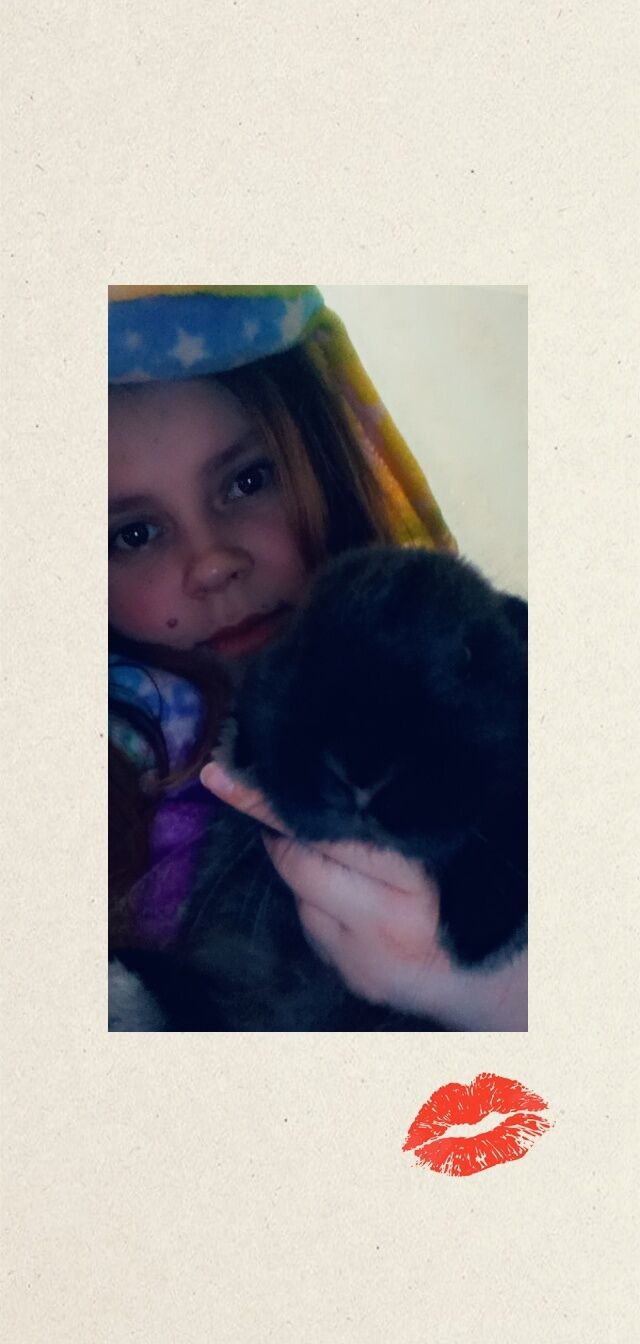 ���� 27523041 ������� �����, 24 ����, ���� ���������� � �����