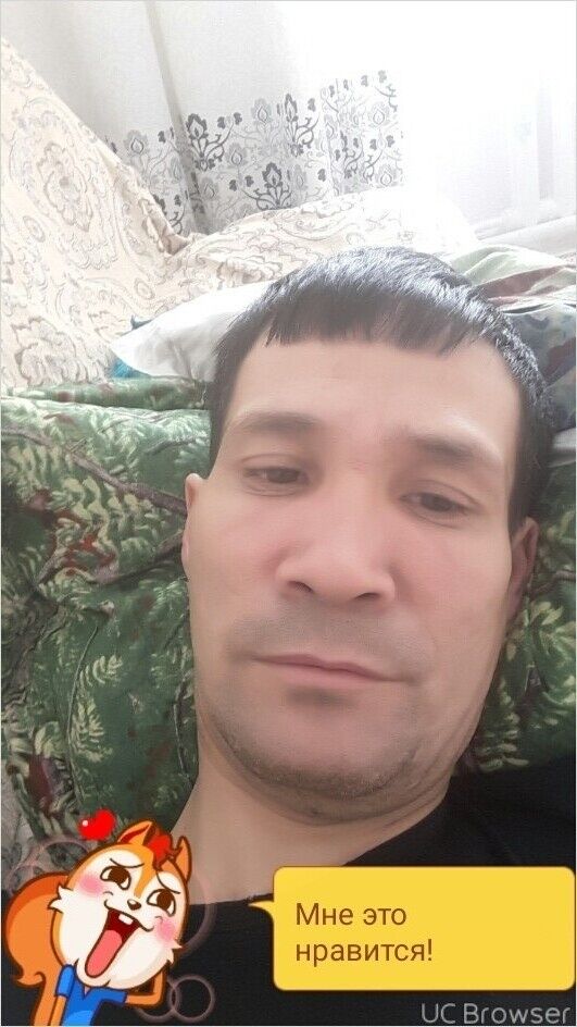  8966831  , 38 ,    
