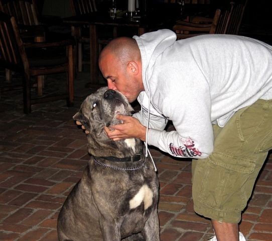 ���� 6641951 ������� Black, 36 ���, ���� ���������� � �������