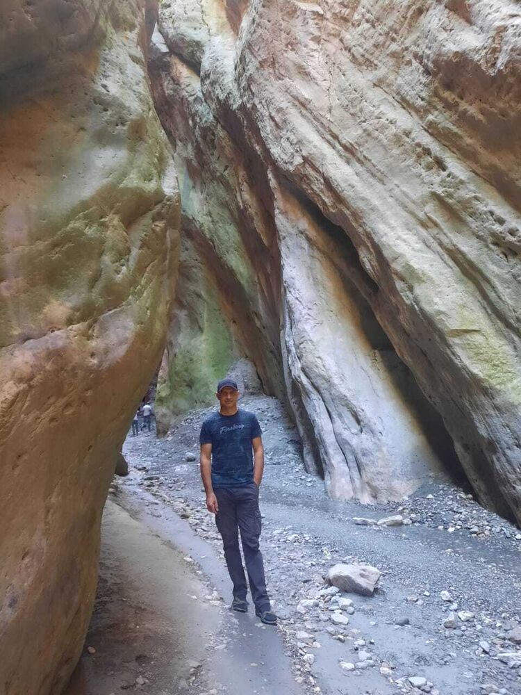 ���� 50381241 ������� ������, 43 ����, ���� ���������� � �������