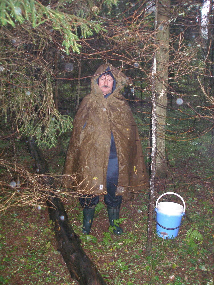 ���������� �������, ���� ������� ����, 56 ���, ������������ ��� ������, ����� � ���������, ���������