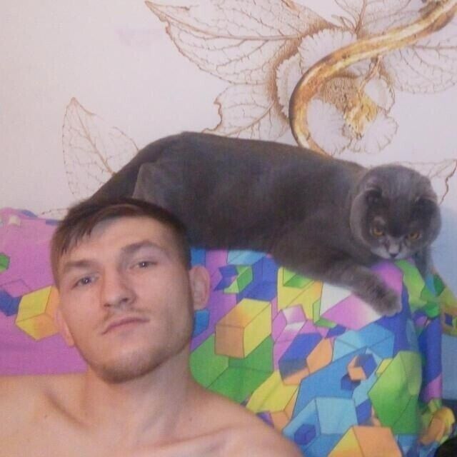 ���������� �����, ���� ������� ���, 32 ����, ������������ ��� ������, ����� � ���������, c�������� ���������, ���������