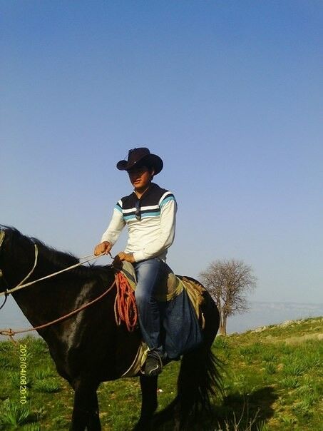  -,   Sultan, 31 ,   ,   , c 