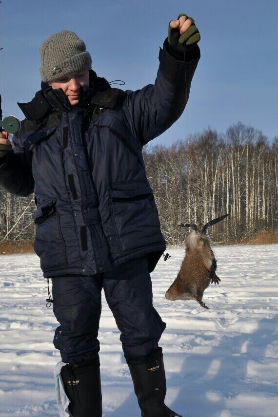 ���� 21786171 ������� �������, 51 ���, ���� ���������� � ������