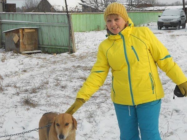 ���������� ���, ���� ������� ����, 62 ����, ������������ ��� ������, ����� � ���������