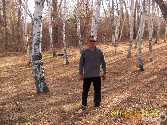  1204521  Dijr, 54 ,    