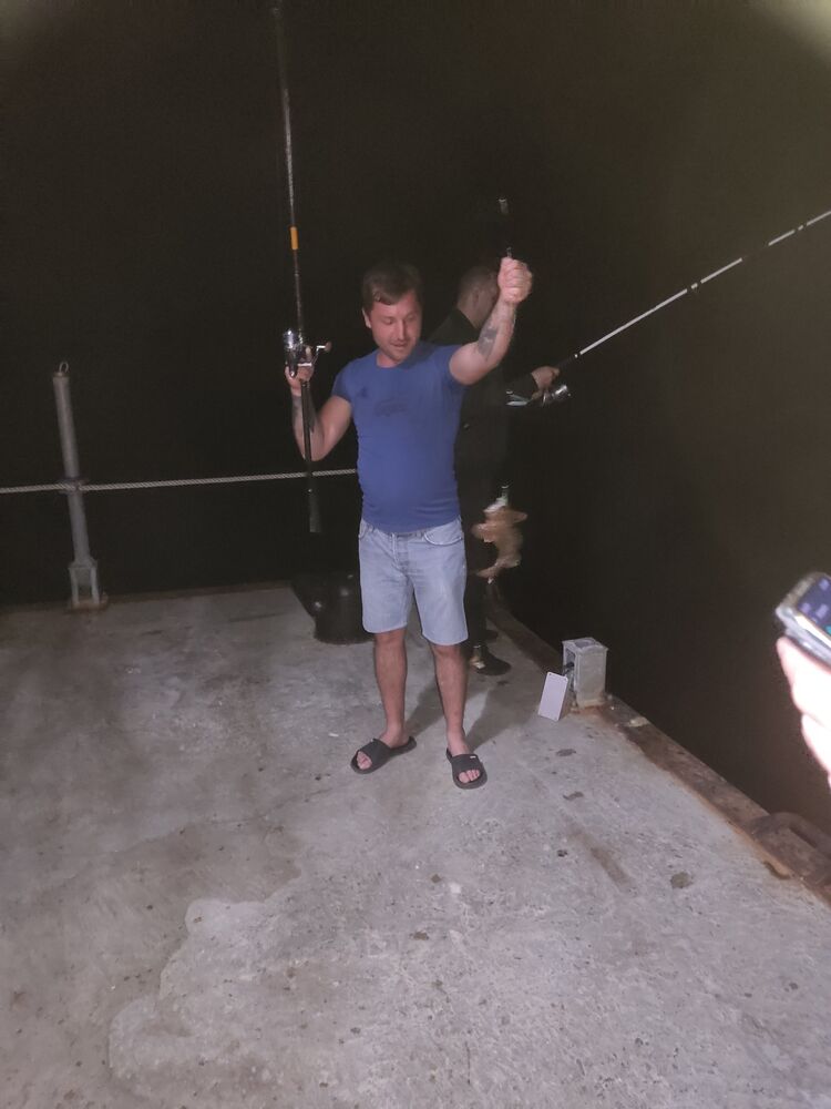 ���������� ��������, ���� ������� ���������, 36 ���, ������������ ��� ������, ����� � ���������, c�������� ���������