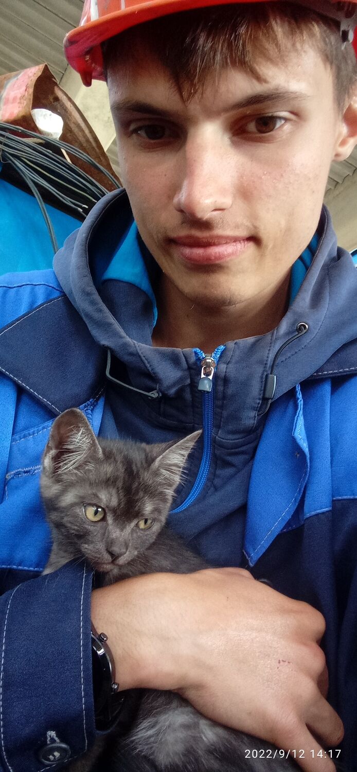 ���������� ������-��-����, ���� ������� ����, 26 ���, ������������ ��� c�������� ���������