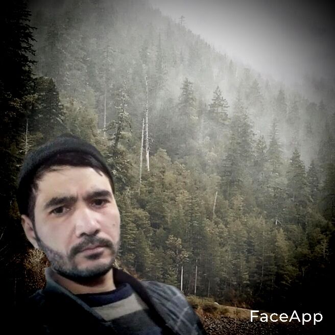 ���� 23331651 ������� �����, 40 ���, ���� ���������� � ��������