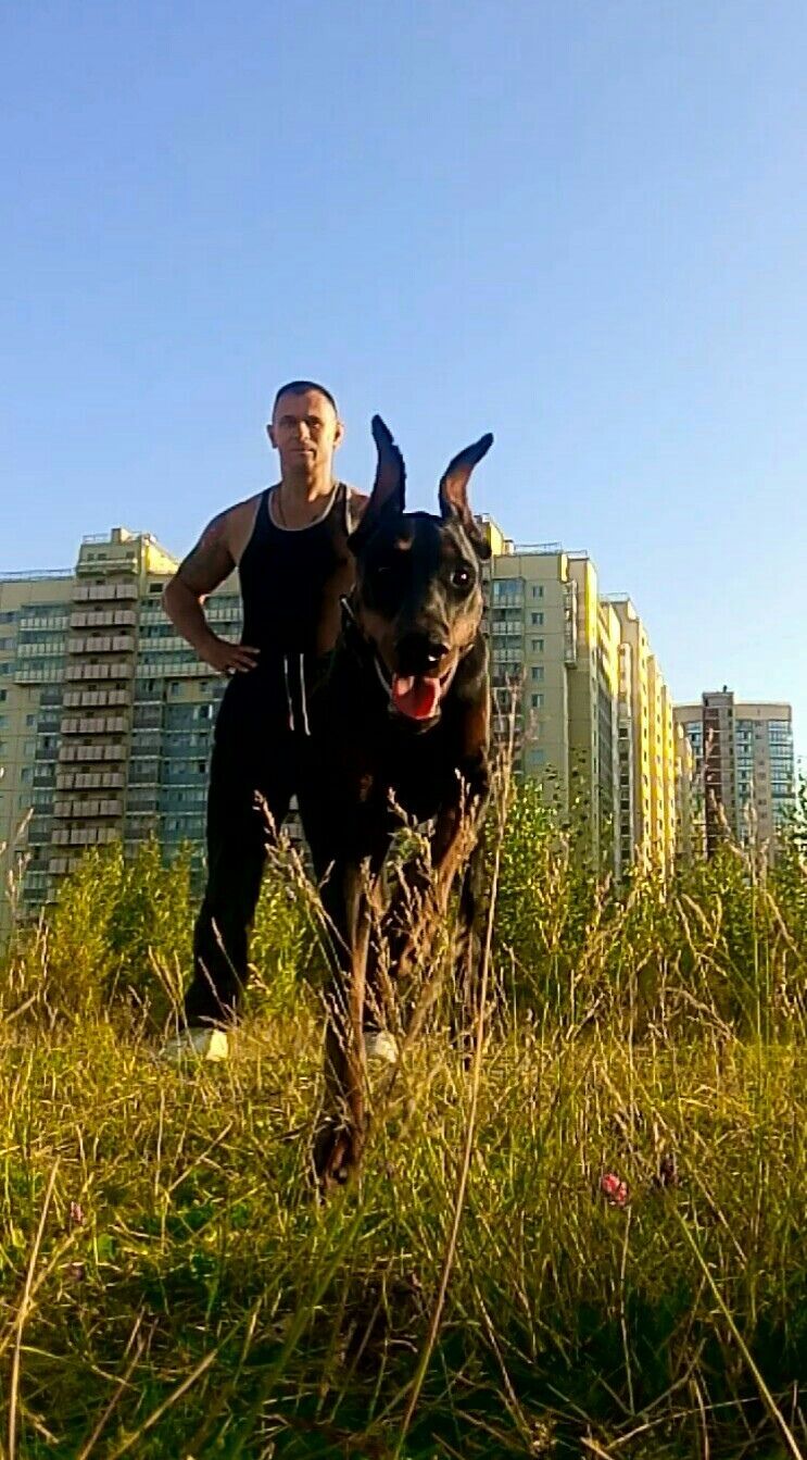 ���������� �����-���������, ���� ������� �����, 40 ���, ������������ ��� ������, ����� � ���������, c�������� ���������, ���������