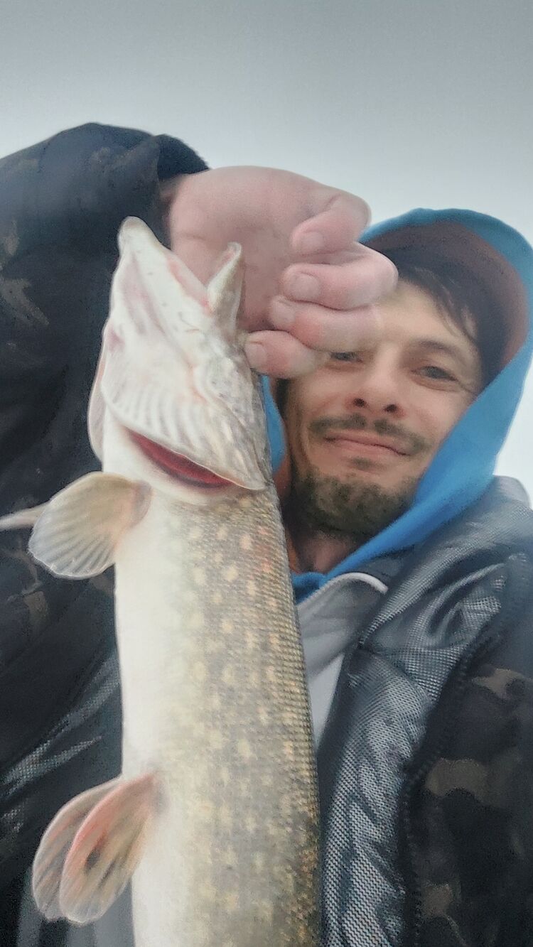 ���������� �����, ���� ������� ���������, 40 ���, ������������ ��� ������, ����� � ���������