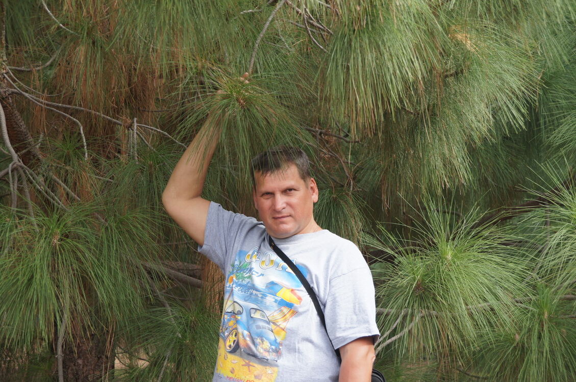 ���� 9777431 ������� ��������, 65 ���, ���� ���������� � �����-����������