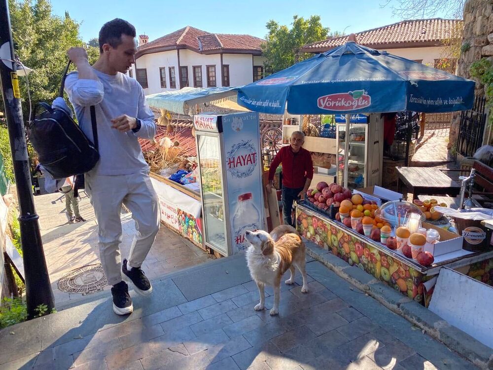 ���������� ������, ���� ������� ������, 39 ���, ������������ ��� ����� � ���������, c�������� ���������