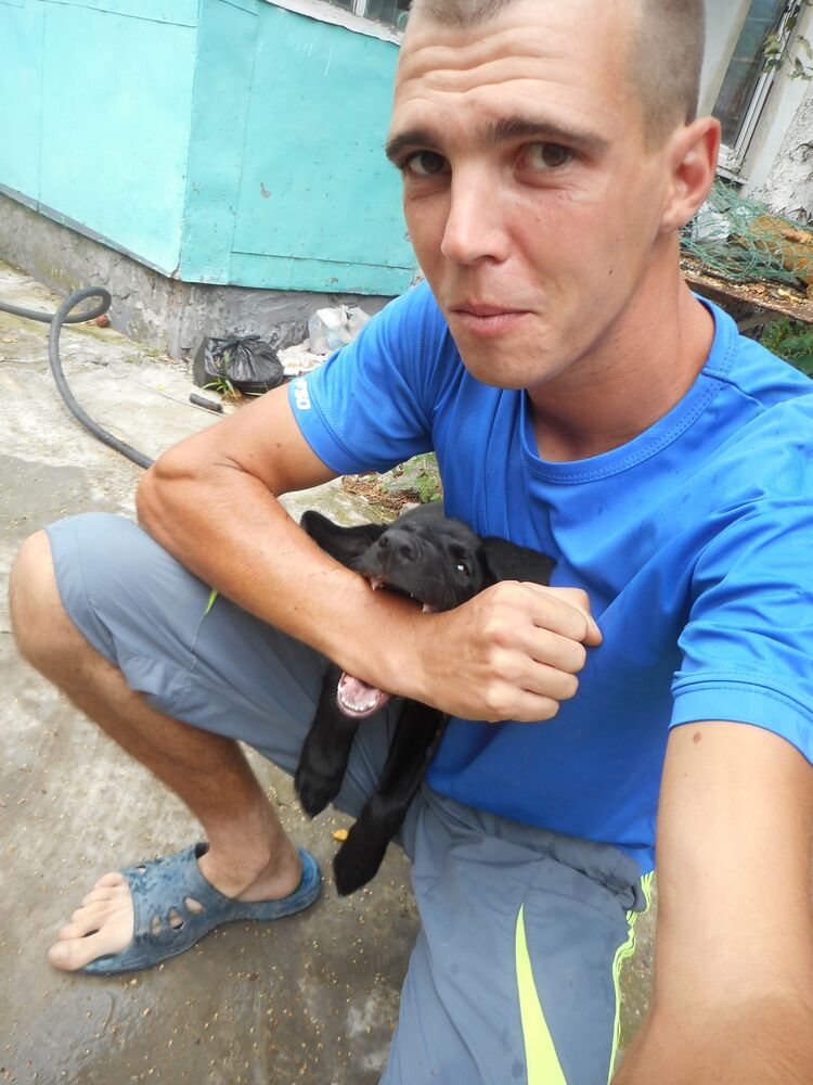  43326161  , 29 ,    