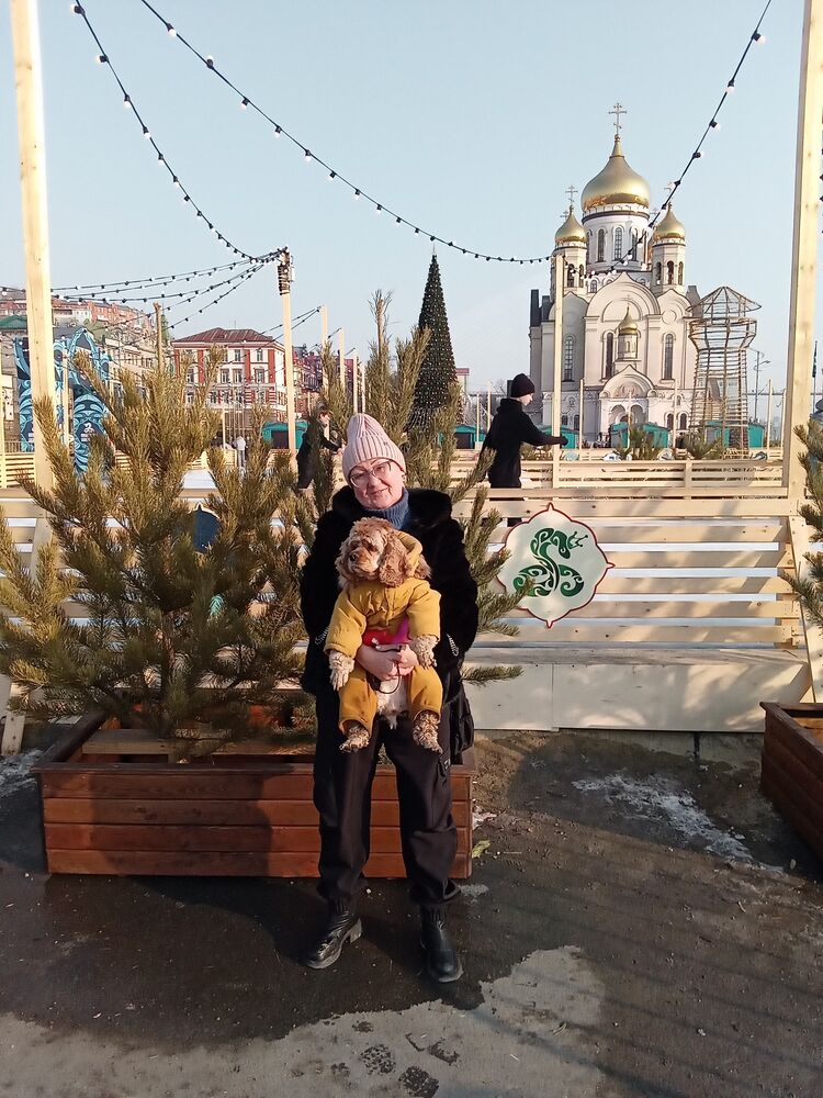 ���� 55431791 ������� �������, 66 ���, ���� ���������� � ������������