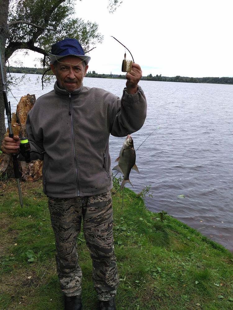 ���� 8376531 ������� ������, 66 ���, ���� ���������� � ������