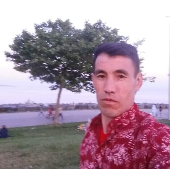  39555631  , 42 ,    