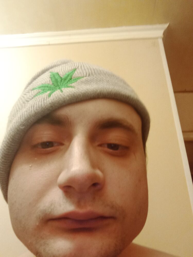  41126381  , 31 ,    