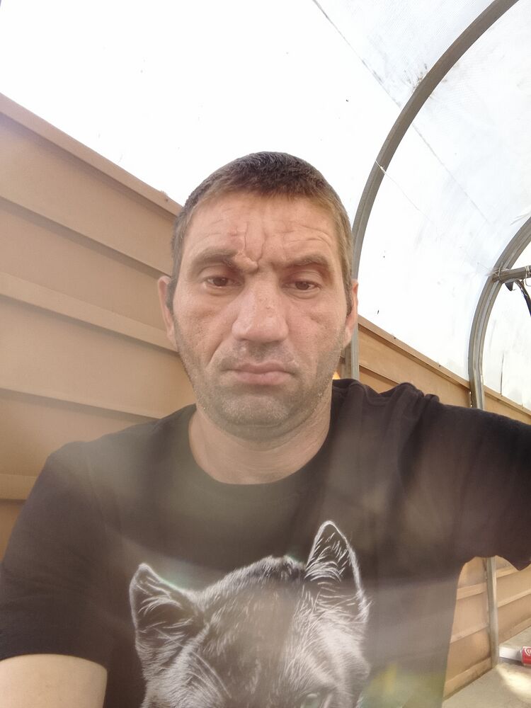 ���� 44646101 ������� ����, 40 ���, ���� ���������� � ��������