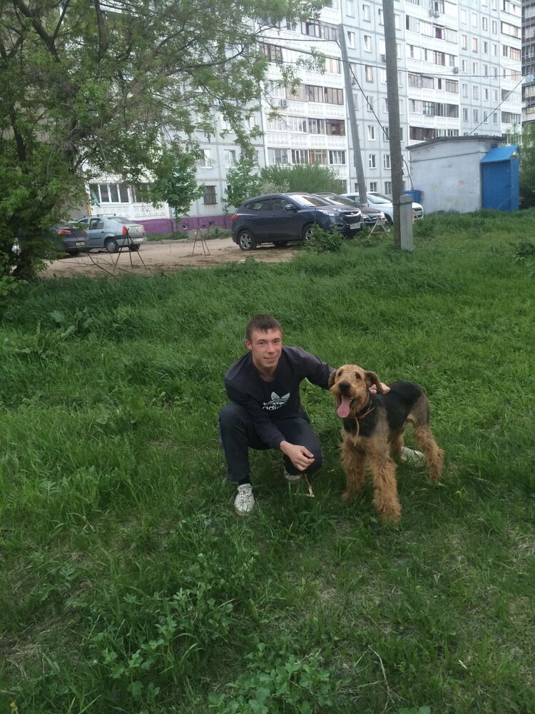 ���������� ������ ��������, ���� ������� �����, 37 ���, ������������ ��� ������, ����� � ���������, c�������� ���������