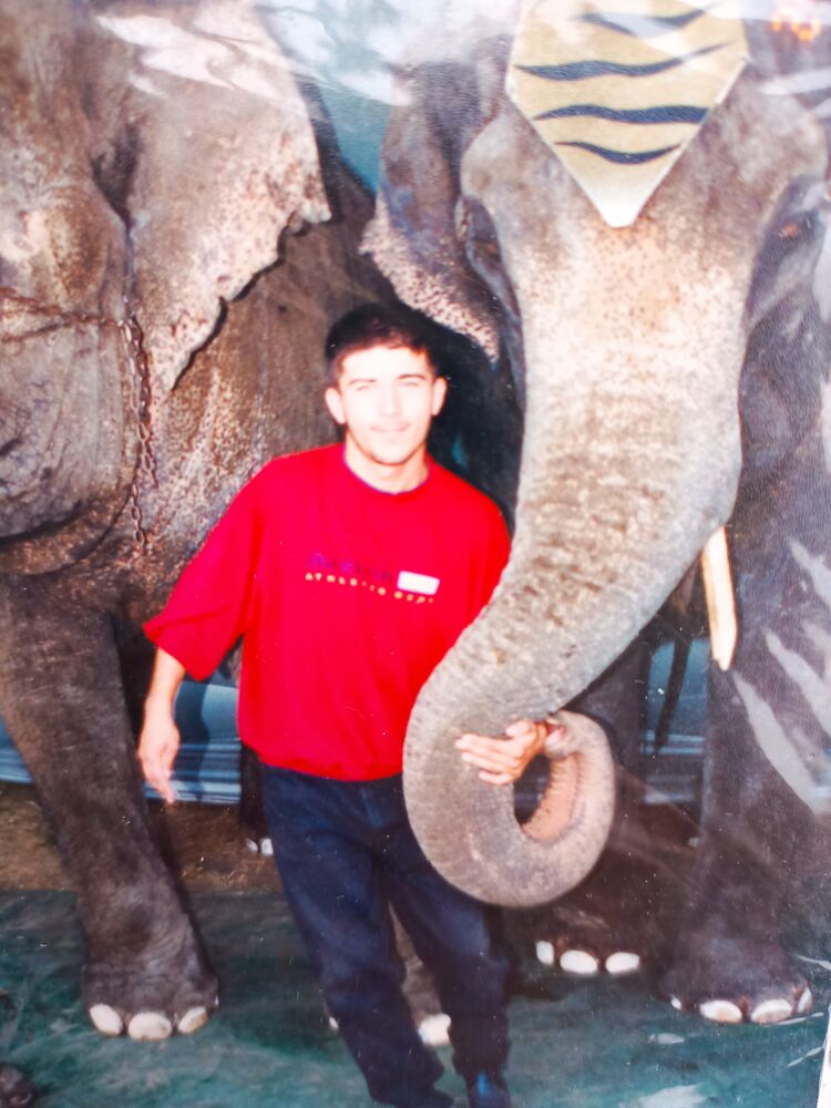 ���� 45667161 ������� TIGER, 38 ���, ���� ���������� � ������