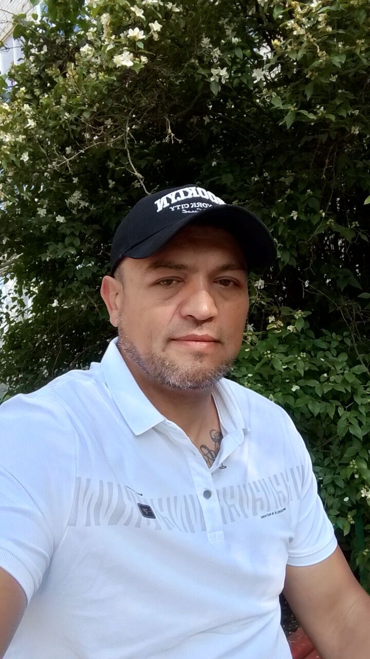  53009851  , 44 ,    
