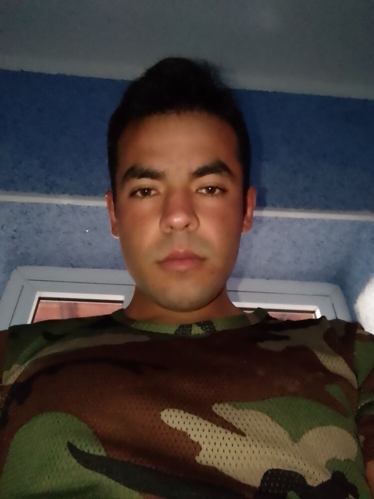  Haarlem,   , 24 ,   ,   