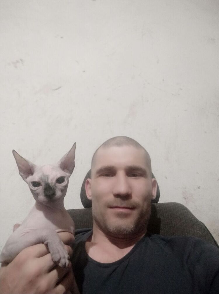 ���� 26347541 ������� �����, 38 ���, ���� ���������� � ���������