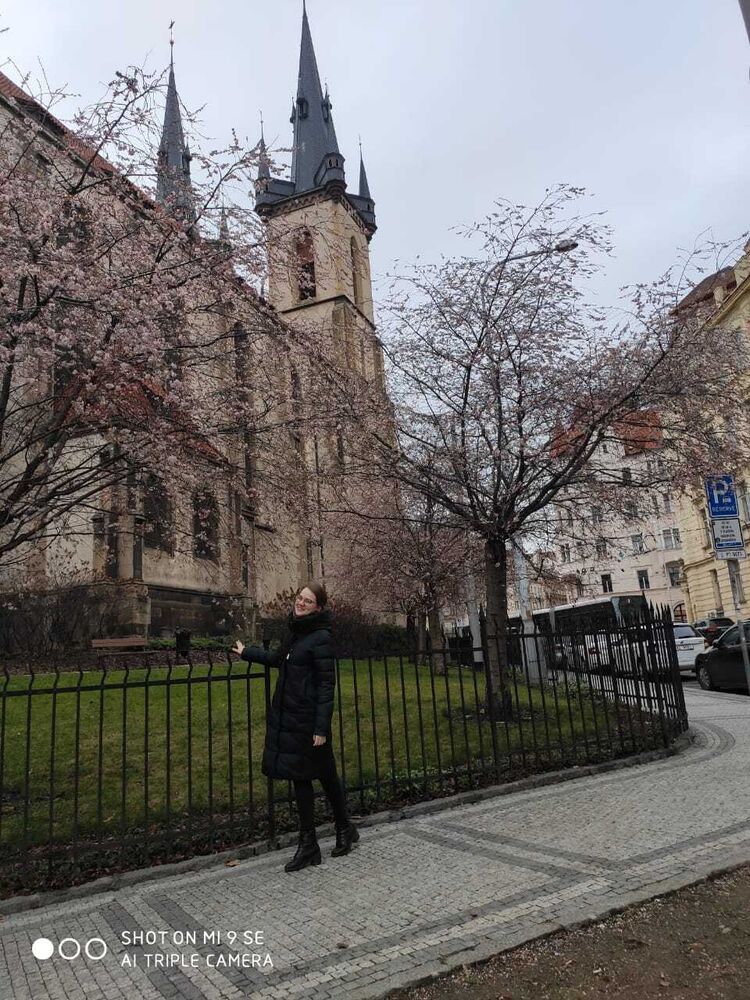 ���������� ������, ���� ������� ����������, 27 ���, ������������ ��� ������, ����� � ���������