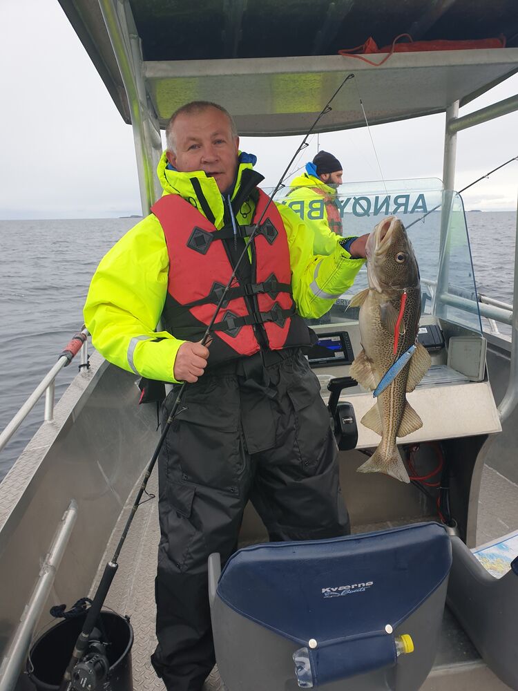  34952791  Igor, 54 ,    Frogner