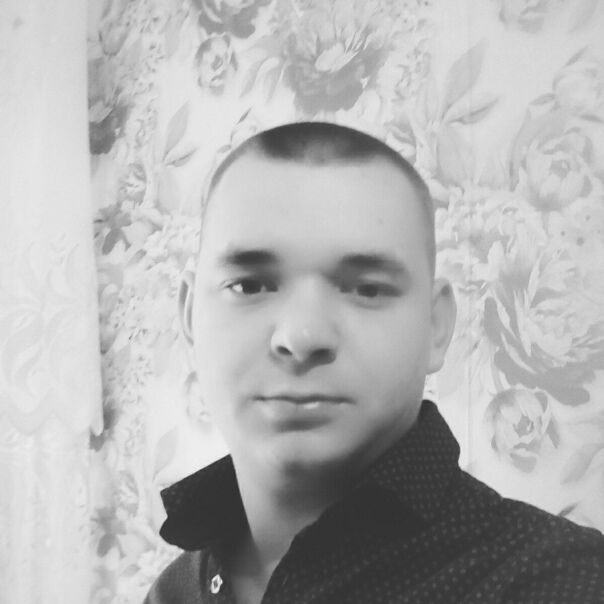  31156621  , 32 ,    
