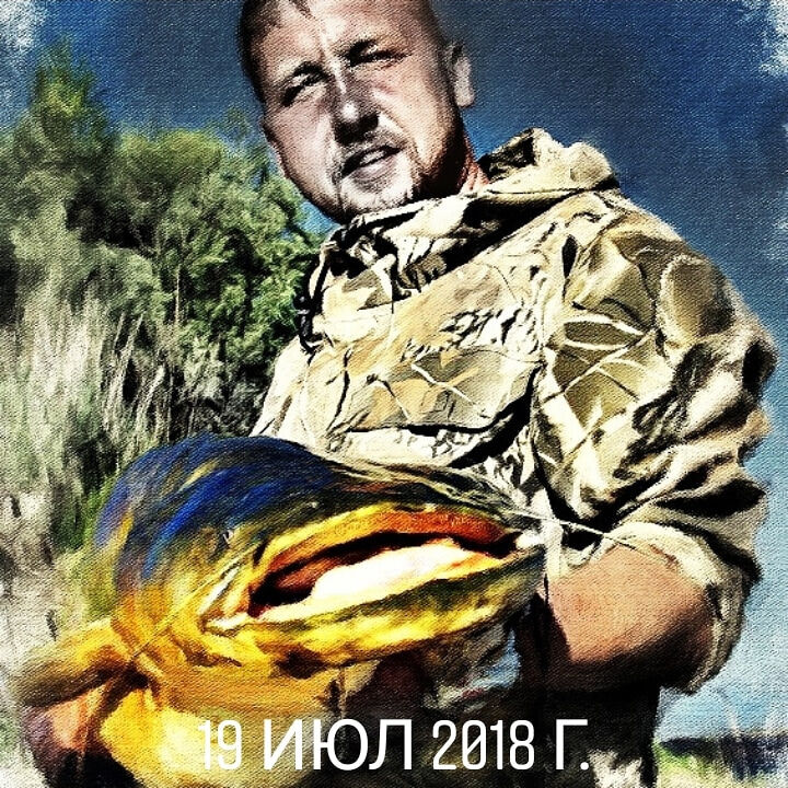  --,   , 43 ,   ,   
