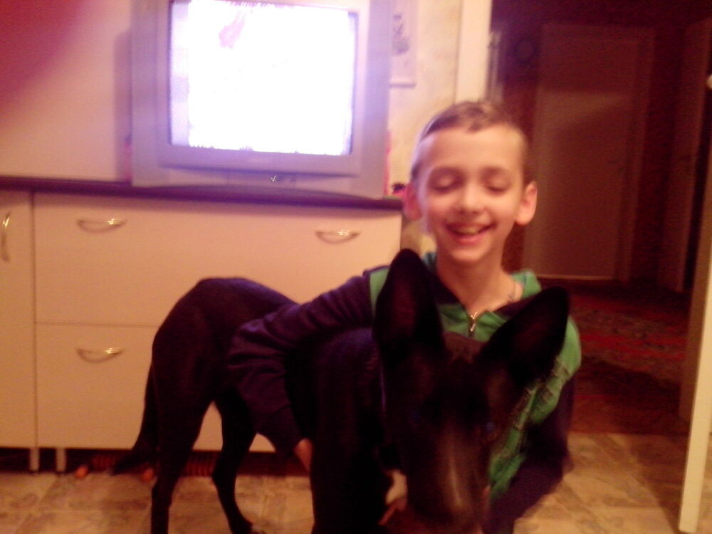 ���� 6436911 ������� ������, 28 ���, ���� ���������� � ������