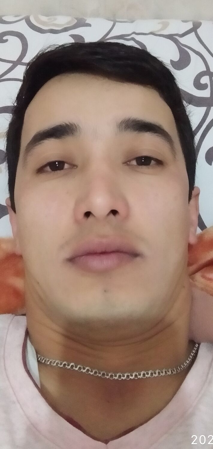  32056801  , 33 ,    