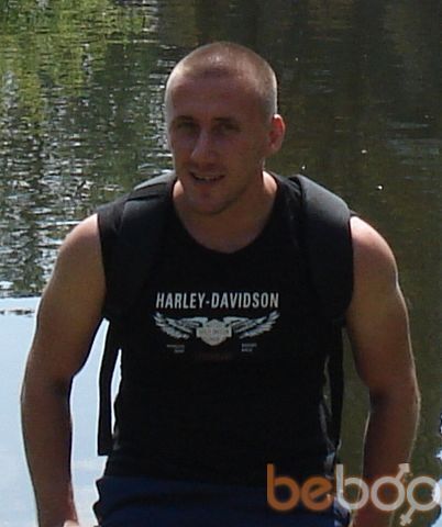 ���������� �������, ���� ������� Moldis, 38 ���, ������������ ��� ����� � ���������, c�������� ���������