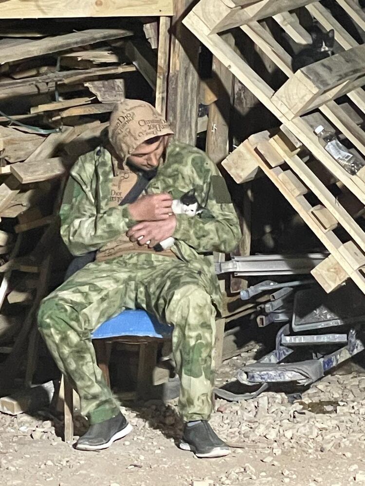 ���������� �����������, ���� ������� ������, 31 ���, ������������ ��� ������, ����� � ���������