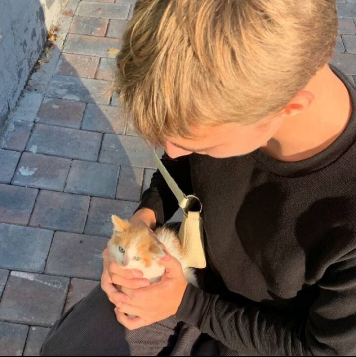  ,   Skordg, 20 ,   ,   
