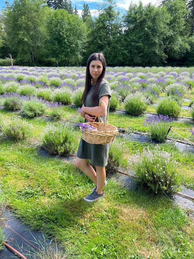 ���� 56494001 ������� �����, 31 ���, ���� ���������� � ������