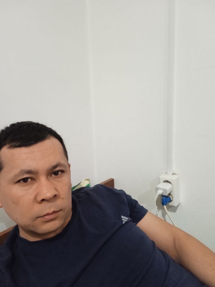  32711831  , 34 ,    