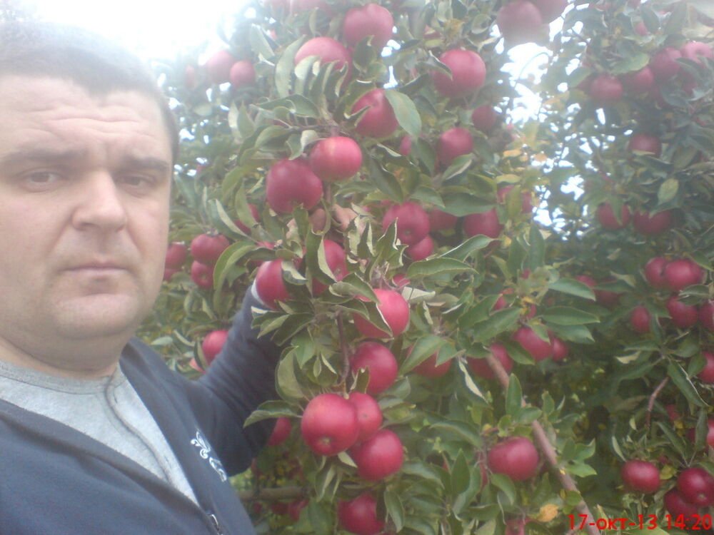  ,   ALEX, 42 ,   ,   , c 