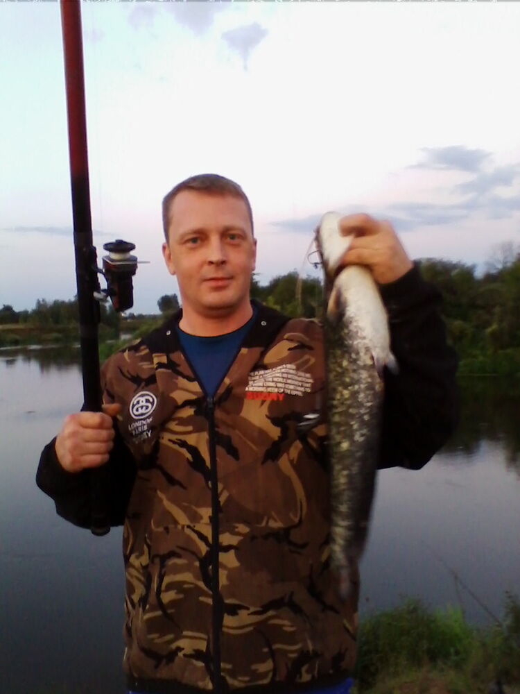 ���� 5295501 ������� �������, 46 ���, ���� ���������� � ������