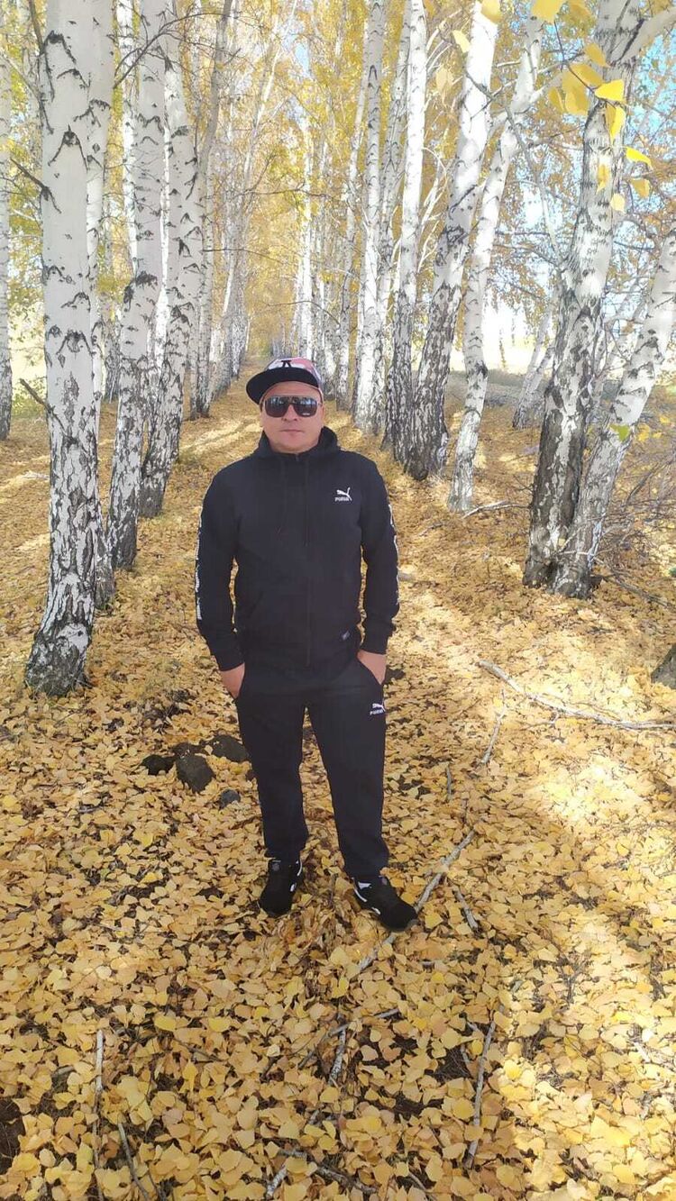  47653681  , 40 ,    
