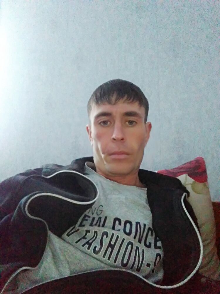  23952541  , 33 ,    