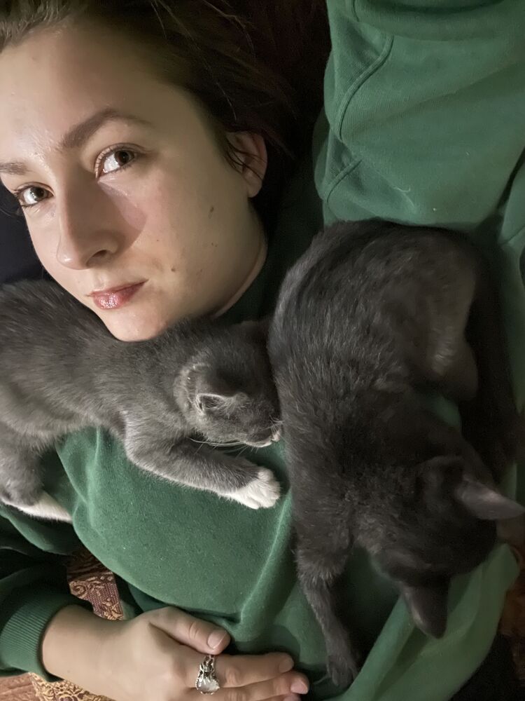 ���������� ����, ���� ������� ����, 25 ���, ������������ ��� ����� � ���������, c�������� ���������